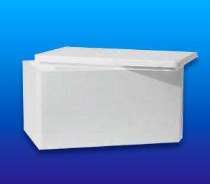 FROZEN BOX F11