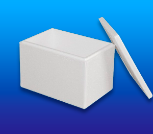 FROZEN BOX F24